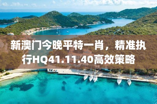 新澳门今晚平特一肖，精准执行HQ41.11.40高效策略