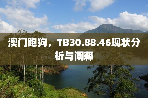 澳门跑狗，TB30.88.46现状分析与阐释