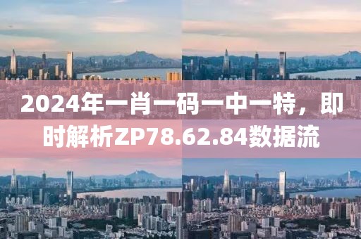 2024年一肖一码一中一特，即时解析ZP78.62.84数据流