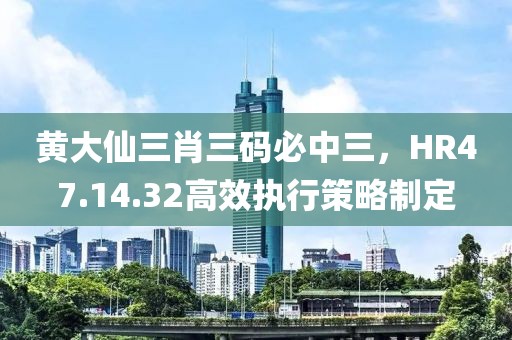 黄大仙三肖三码必中三，HR47.14.32高效执行策略制定