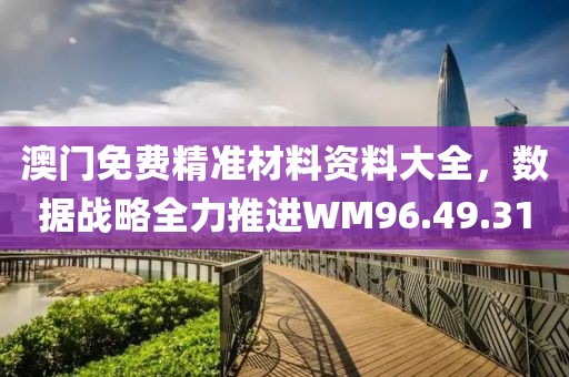 澳门免费精准材料资料大全，数据战略全力推进WM96.49.31