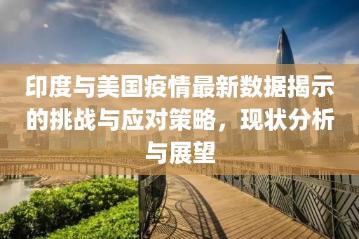 印度与美国疫情最新数据揭示的挑战与应对策略，现状分析与展望