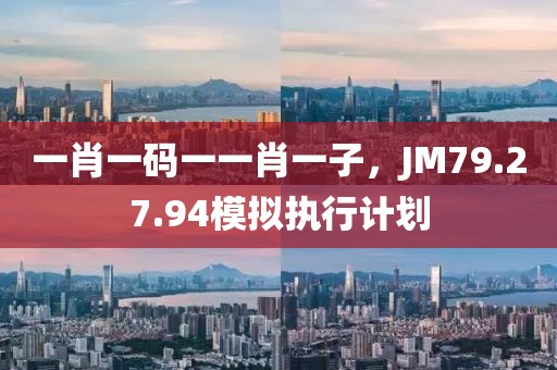 一肖一码一一肖一子，JM79.27.94模拟执行计划