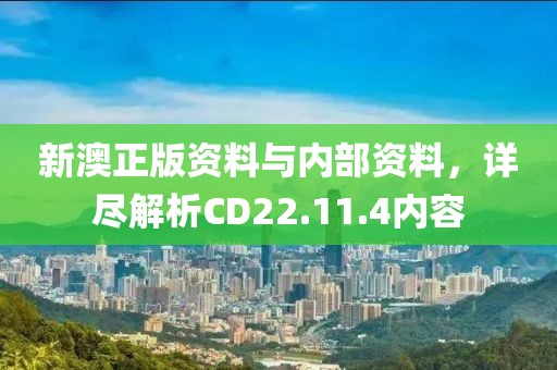 新澳正版资料与内部资料，详尽解析CD22.11.4内容