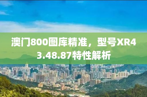 澳门800图库精准，型号XR43.48.87特性解析
