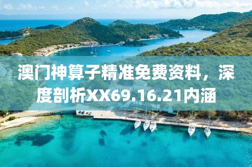 澳门神算子精准免费资料，深度剖析XX69.16.21内涵