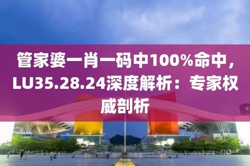 管家婆一肖一码中100%命中，LU35.28.24深度解析：专家权威剖析