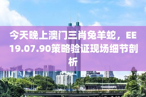 今天晚上澳门三肖兔羊蛇，EE19.07.90策略验证现场细节剖析
