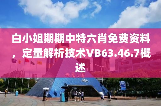 白小姐期期中特六肖免费资料，定量解析技术VB63.46.7概述