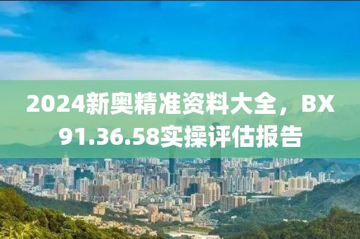 2024新奥精准资料大全，BX91.36.58实操评估报告