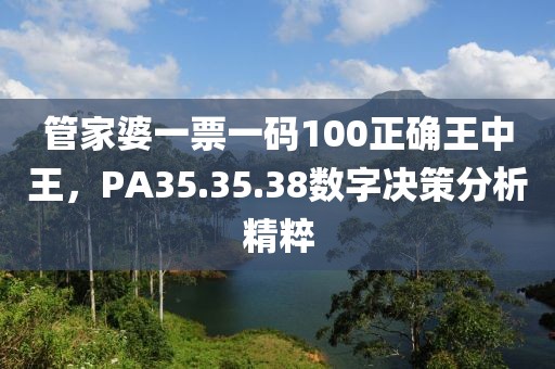 管家婆一票一码100正确王中王，PA35.35.38数字决策分析精粹