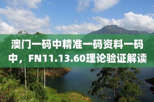 澳门一码中精准一码资料一码中，FN11.13.60理论验证解读