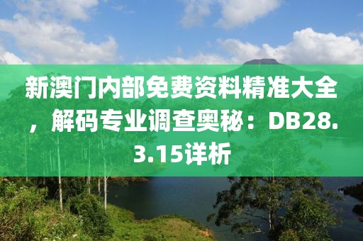 新澳门内部免费资料精准大全，解码专业调查奥秘：DB28.3.15详析