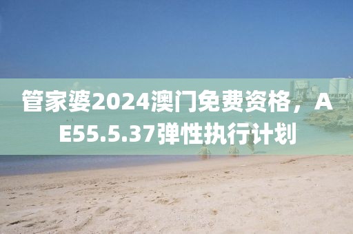 管家婆2024澳门免费资格，AE55.5.37弹性执行计划