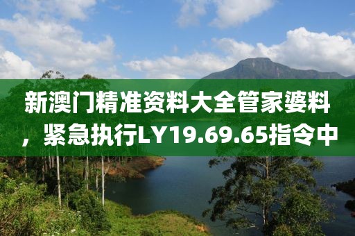 新澳门精准资料大全管家婆料，紧急执行LY19.69.65指令中