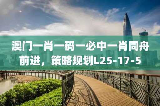 澳门一肖一码一必中一肖同舟前进，策略规划L25-17-5