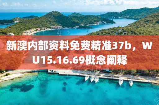 新澳内部资料免费精准37b，WU15.16.69概念阐释