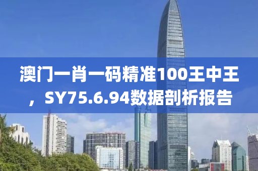 澳门一肖一码精准100王中王，SY75.6.94数据剖析报告