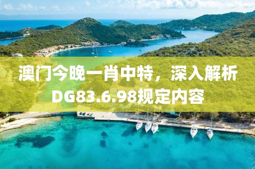 澳门今晚一肖中特，深入解析DG83.6.98规定内容
