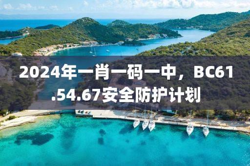 2024年一肖一码一中，BC61.54.67安全防护计划