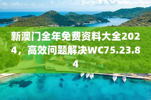 新澳门全年免费资料大全2024，高效问题解决WC75.23.84