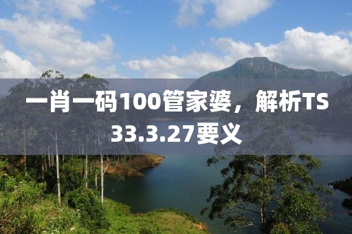 一肖一码100管家婆，解析TS33.3.27要义