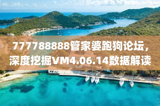 777788888管家婆跑狗论坛，深度挖掘VM4.06.14数据解读