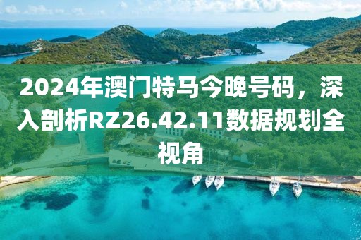 2024年澳门特马今晚号码，深入剖析RZ26.42.11数据规划全视角