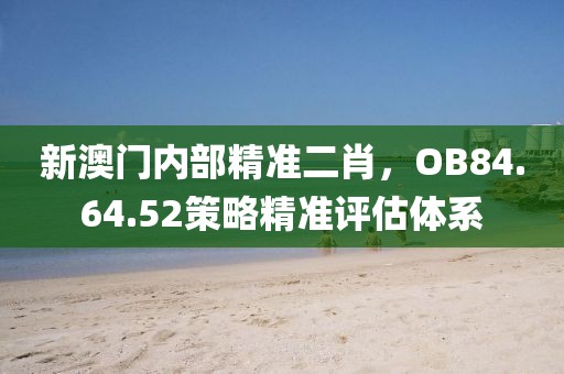 新澳门内部精准二肖，OB84.64.52策略精准评估体系