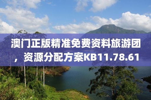 澳门正版精准免费资料旅游团，资源分配方案KB11.78.61