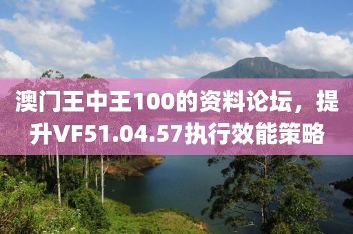 澳门王中王100的资料论坛，提升VF51.04.57执行效能策略