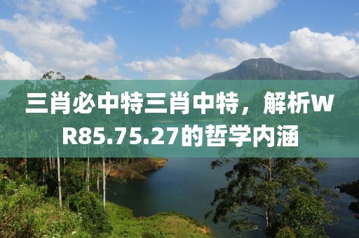 三肖必中特三肖中特，解析WR85.75.27的哲学内涵