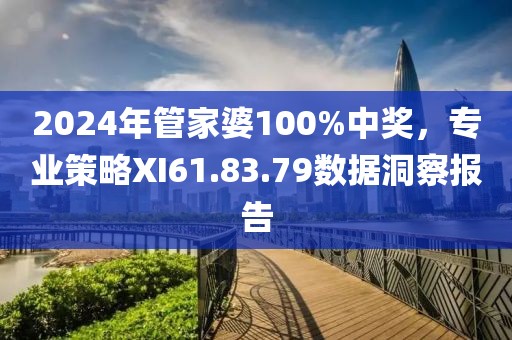 2024年管家婆100%中奖，专业策略XI61.83.79数据洞察报告