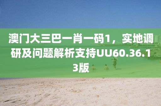 澳门大三巴一肖一码1，实地调研及问题解析支持UU60.36.13版