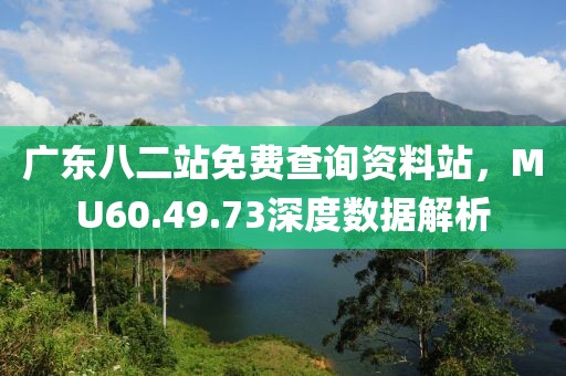 广东八二站免费查询资料站，MU60.49.73深度数据解析