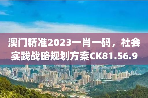 澳门精准2023一肖一码，社会实践战略规划方案CK81.56.9