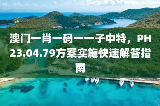 澳门一肖一码一一子中特，PH23.04.79方案实施快速解答指南