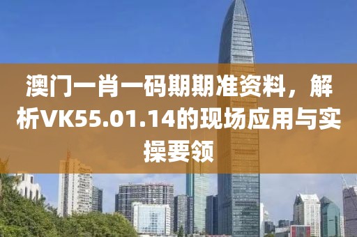 澳门一肖一码期期准资料，解析VK55.01.14的现场应用与实操要领