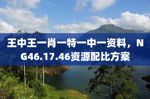 王中王一肖一特一中一资料，NG46.17.46资源配比方案