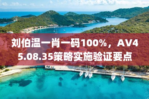 刘伯温一肖一码100%，AV45.08.35策略实施验证要点