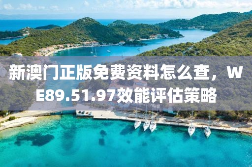 新澳门正版免费资料怎么查，WE89.51.97效能评估策略