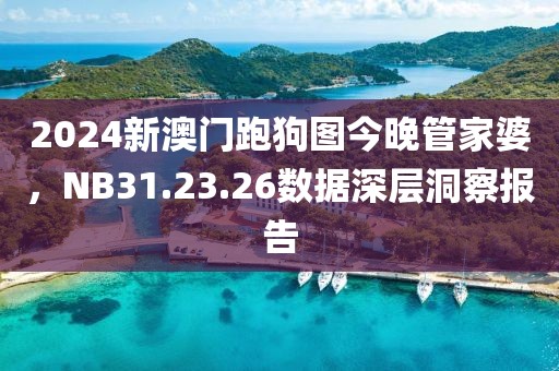 2024新澳门跑狗图今晚管家婆，NB31.23.26数据深层洞察报告