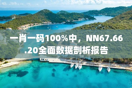 一肖一码100%中，NN67.66.20全面数据剖析报告