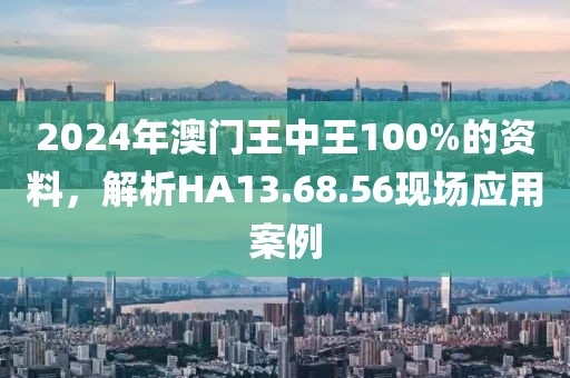 2024年澳门王中王100%的资料，解析HA13.68.56现场应用案例