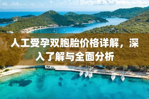 人工受孕双胞胎价格详解，深入了解与全面分析