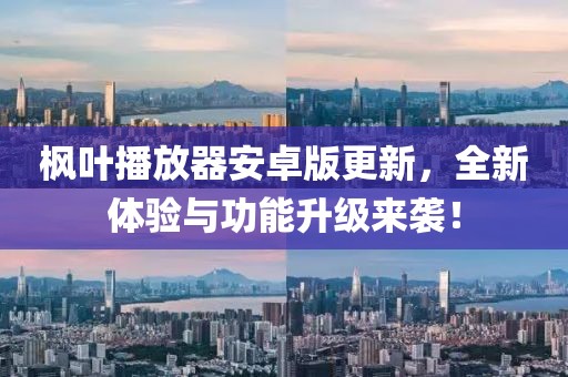 枫叶播放器安卓版更新，全新体验与功能升级来袭！