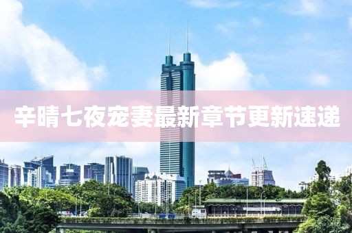辛晴七夜宠妻最新章节更新速递