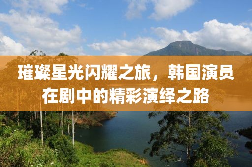 璀璨星光闪耀之旅，韩国演员在剧中的精彩演绎之路