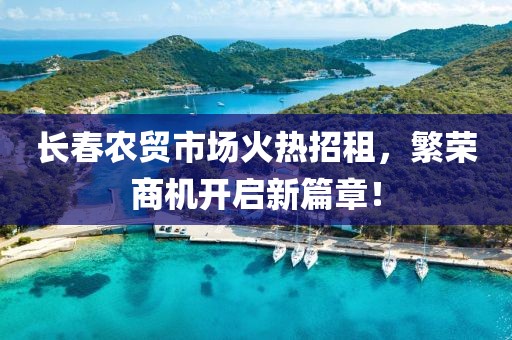 长春农贸市场火热招租，繁荣商机开启新篇章！