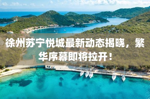 徐州苏宁悦城最新动态揭晓，繁华序幕即将拉开！